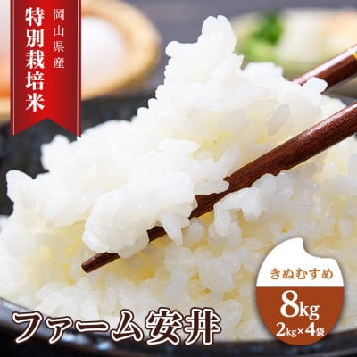 お米 【2025年11月～発送予定】 特別栽培米 きぬむすめ 8kg[NO5765-1408]