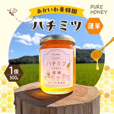 はちみつ 蓮華蜂蜜 1個300g ハチミツ 蜂蜜 天然 非加熱[NO5765-1411]