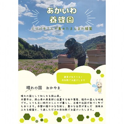 はちみつ 蓮華蜂蜜 1個300g ハチミツ 蜂蜜 天然 非加熱[NO5765-1411]