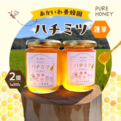 はちみつ 蓮華蜂蜜 1個300g 2個入り ハチミツ 蜂蜜 天然 非加熱[NO5765-1412]