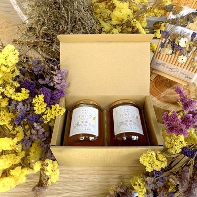 はちみつ 蓮華蜂蜜 1個300g 2個入り ハチミツ 蜂蜜 天然 非加熱[NO5765-1412]