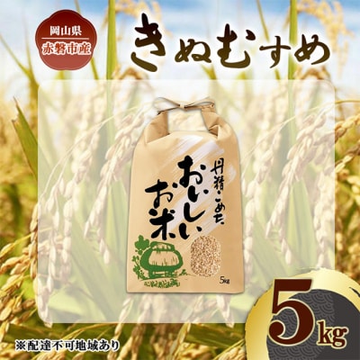 令和7年 きぬむすめ 玄米 5kg 晴れの国 岡山県産 米 [NO5765-1420]