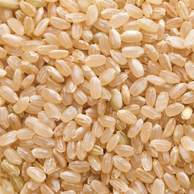 令和7年 きぬむすめ 玄米 10kg 晴れの国 岡山県産[NO5765-1421]