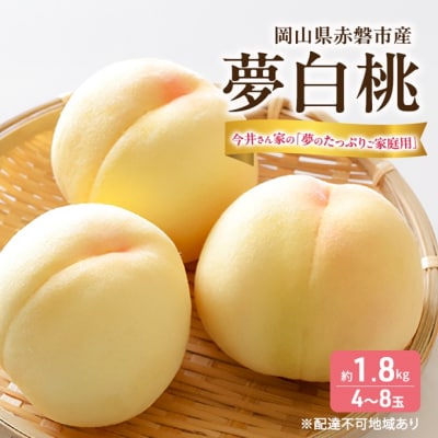 桃 2026年 先行予約  おかやま 夢白桃 約1.8kg 4～8玉[NO5765-1406]