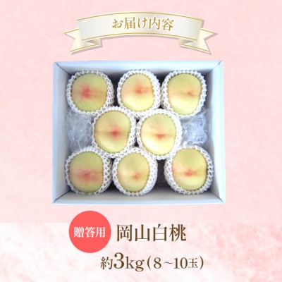 桃 2026年 先行受付 贈答用 岡山 白桃 約3kg(8～10玉)[NO5765-1428]