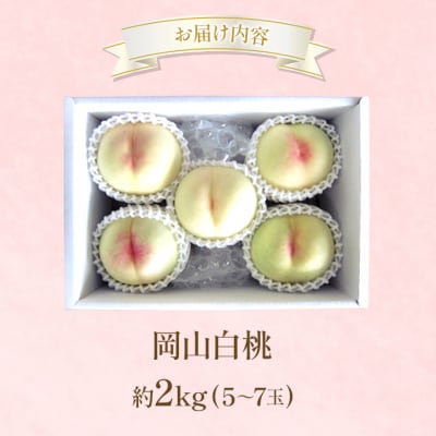 桃 2026年 先行受付 岡山 白桃 約2kg (5～7玉)[NO5765-1429] | 岡山県