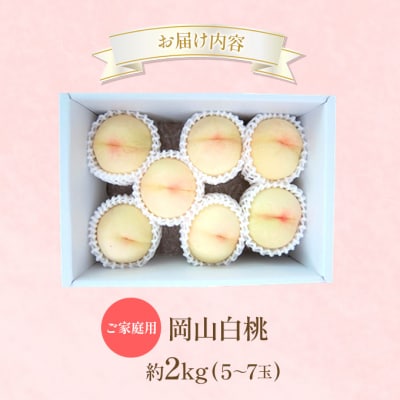 桃 2026年 先行受付 ご家庭用 岡山 白桃 約2kg (5～7玉) [NO5765-1430]