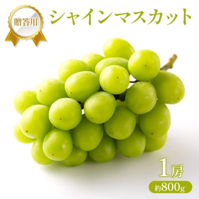 �Ԃǂ� 2026�N ��s��t �����p �V���C���}�X�J�b�g 1�[ ��800g[NO5765-1432]