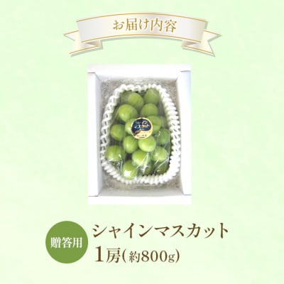 ぶどう 2026年 先行受付 贈答用 シャインマスカット 1房 約800g[NO5765-1432]