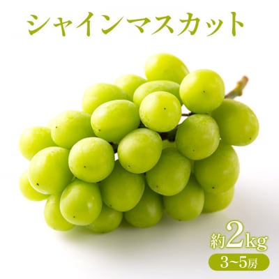 �Ԃǂ� 2026�N ��s��t �V���C���}�X�J�b�g ��2kg  (3�`5�[)[NO5765-1433]