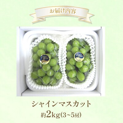 ぶどう 2026年 先行受付 シャインマスカット 約2kg  (3～5房)[NO5765-1433]