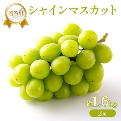 �Ԃǂ� 2026�N ��s��t �����p �V���C���}�X�J�b�g ��1.6kg [NO5765-1435]