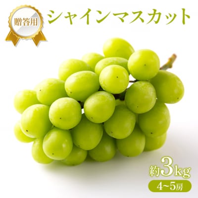 �Ԃǂ� 2026�N ��s��t �����p �V���C���}�X�J�b�g ��3kg4�`5�[[NO5765-1436]