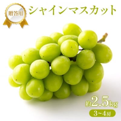 �Ԃǂ� 2026�N ��s��t �����p �V���C���}�X�J�b�g ��1.6kg [NO5765-1437]