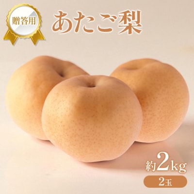 �� 2025�N �����p �������� ��2kg (2��) [NO5765-1438]