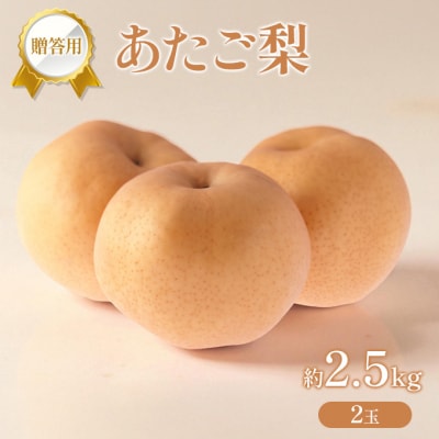 梨 2025年 贈答用 あたご梨 約2.5kg (2玉) [NO5765-1439]