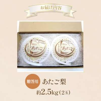梨 2025年 贈答用 あたご梨 約2.5kg (2玉) [NO5765-1439]