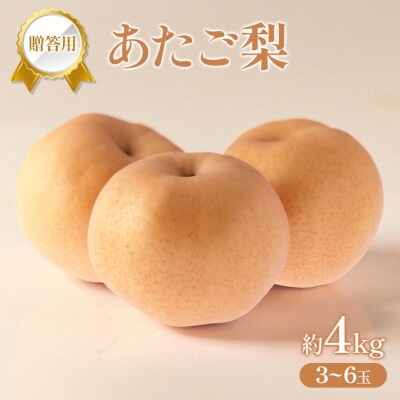 �� 2025�N �����p �������� ��4kg (3�`6��) [NO5765-1440]