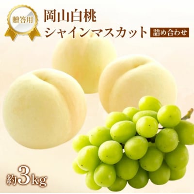 桃 ぶどう 2026年 先行受付 贈答用 白桃 シャインマスカット 詰合せ[NO5765-1441]
