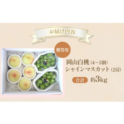 桃 ぶどう 2026年 先行受付 贈答用 白桃 シャインマスカット 詰合せ[NO5765-1441]