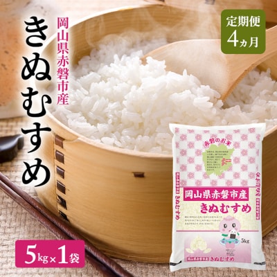 米 2025年産 定期便 4ヵ月 きぬむすめ 5kg 1袋 [NO5765-1446]