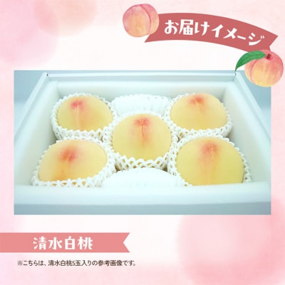 桃 2026年 数量限定 清水白桃 糖度12度以上 5-6玉 計1.5kg[NO5765-1460]