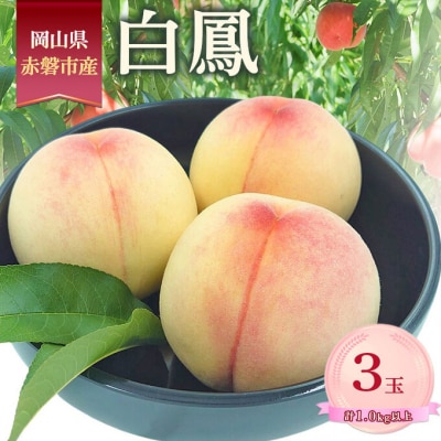 桃 2026年 数量限定 白鳳 3玉 計1.0kg以上 岡山県 赤磐市産 [NO5765-1462]