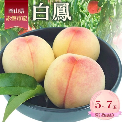 桃 2026年 数量限定 白鳳 5-7玉 計1.5kg以上 岡山県赤磐市産[NO5765-1463]