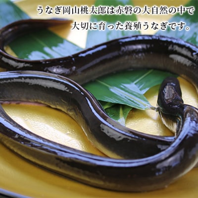 味心逆瀬川 うなぎ 料理 お食事券 (5,000円分) 日本料理 チケット[NO5765-1495]