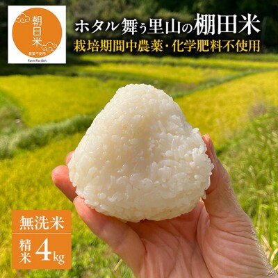 先行受付 農薬不使用 無洗米 ホタル舞う里山の棚田米 精米4kg令和8年産[NO5765-1510]
