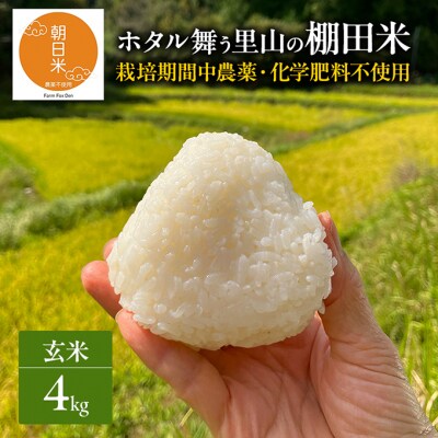先行受付 農薬不使用 ホタル舞う里山の棚田米 玄米4kg 令和8年産[NO5765-1513]