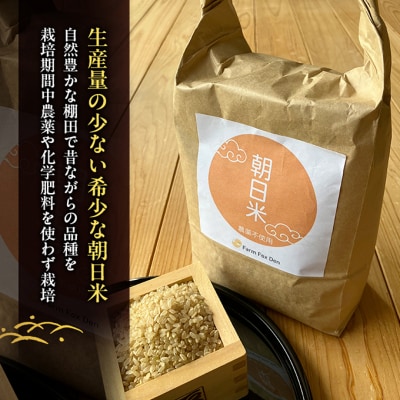 先行受付 農薬不使用 ホタル舞う里山の棚田米 玄米4kg 令和8年産[NO5765-1513]