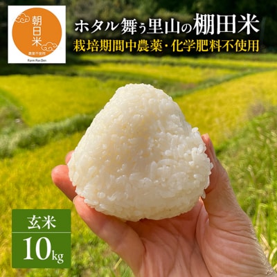 先行受付 農薬不使用 ホタル舞う里山の棚田米 玄米10kg 令和8年産[NO5765-1514]