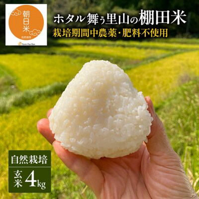 先行受付 自然栽培 農薬不使用 肥料不使用 玄米4kg 令和8年産[NO5765-1516]