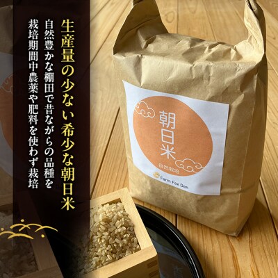 先行受付 自然栽培 農薬不使用 肥料不使用 玄米4kg 令和8年産[NO5765-1516]