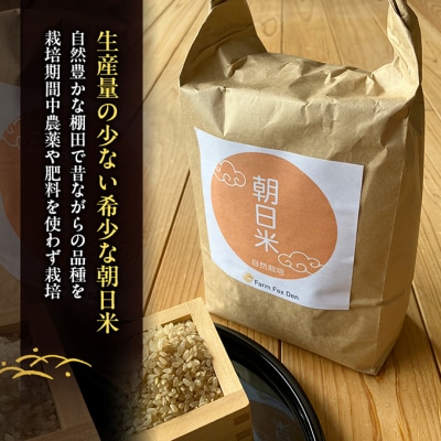 先行受付 自然栽培 農薬不使用 肥料不使用 玄米4kg 令和8年産[NO5765-1516]