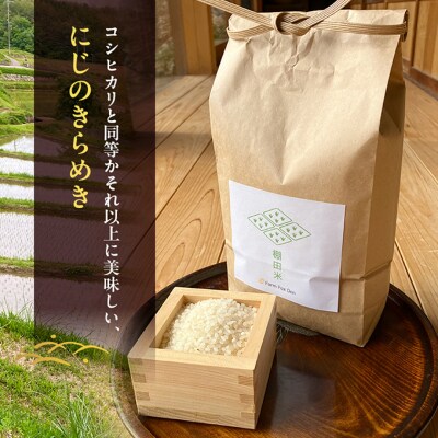 先行受付 ホタル舞う里山の棚田米 無洗米 精米10kg 令和8年産 [NO5765-1521]