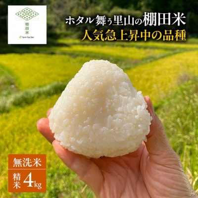 先行受付 ホタル舞う里山の棚田米 無洗米 精米4kg 令和8年産 [NO5765-1520]