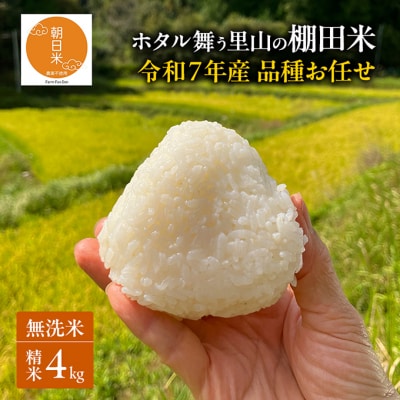 品種お任せ 令和7年産 ホタル舞う里山の棚田米 無洗米 精米4kg[NO5765-1522]