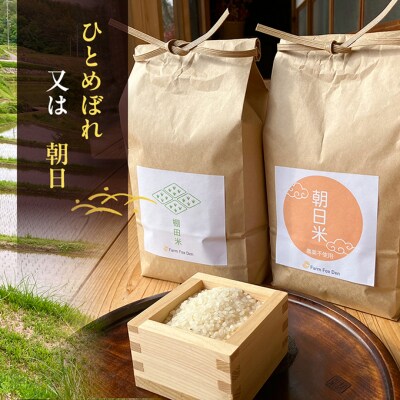 品種お任せ 令和7年産 ホタル舞う里山の棚田米 無洗米 精米10kg [NO5765-1523]