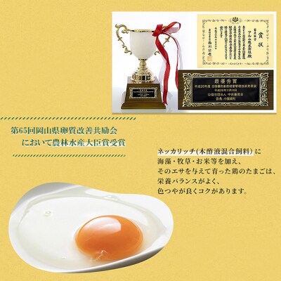 卵【3回 定期便】 赤玉 ネッカリッチ卵 50個入り 鶏卵 たまご [NO5765-1530]