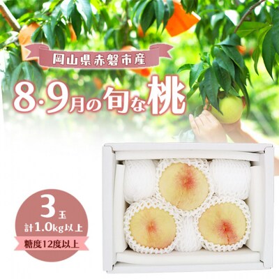 桃 2026年 岡山の白桃 『8・9月の旬な桃』 3玉 計1.0kg以上[NO5765-1499]