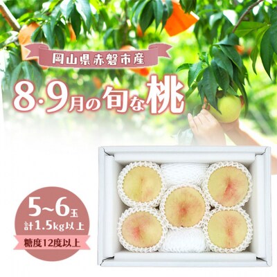 桃 2026年 岡山の白桃 『8・9月の旬な桃』 5-6玉計1.5kg以上[NO5765-1500]