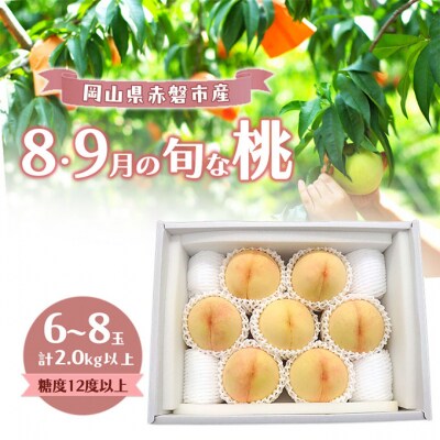 桃 2026年 岡山の白桃 『8・9月の旬な桃』 6-8玉計2.0kg以上[NO5765-1501]