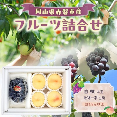 桃 ぶどう 2026年 岡山 白桃 4玉 ピオーネ 1房 計1.5kg以上[NO5765-1505]