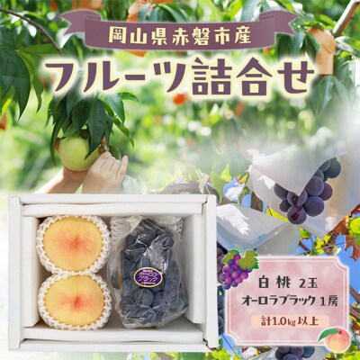 桃 ぶどう 2026年 岡山 白桃 2玉 オーロラブラック 1房 詰合せ[NO5765-1506]