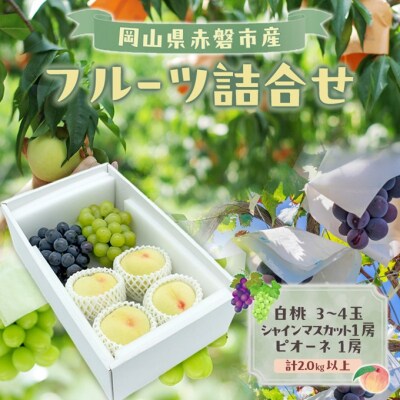 桃 ぶどう 2026年 白桃 シャインマスカット ピオーネ 詰合せ[NO5765-1508]