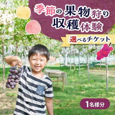 フルーツ 季節の果物狩り 収穫体験 選べる チケット 1名様分[NO5765-1532]