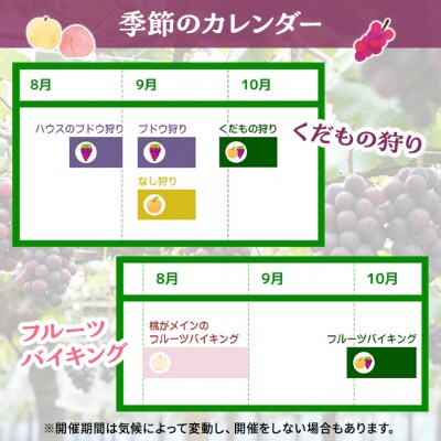 フルーツ 季節の果物狩り 収穫体験 選べる チケット 1名様分[NO5765-1532]
