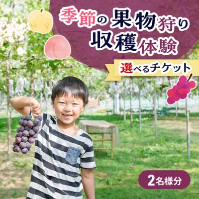 フルーツ 季節の果物狩り 収穫体験 選べる チケット 2名様分[NO5765-1533]